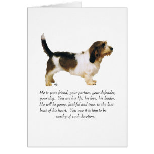 Petit Basset Griffon Vendeen Macho