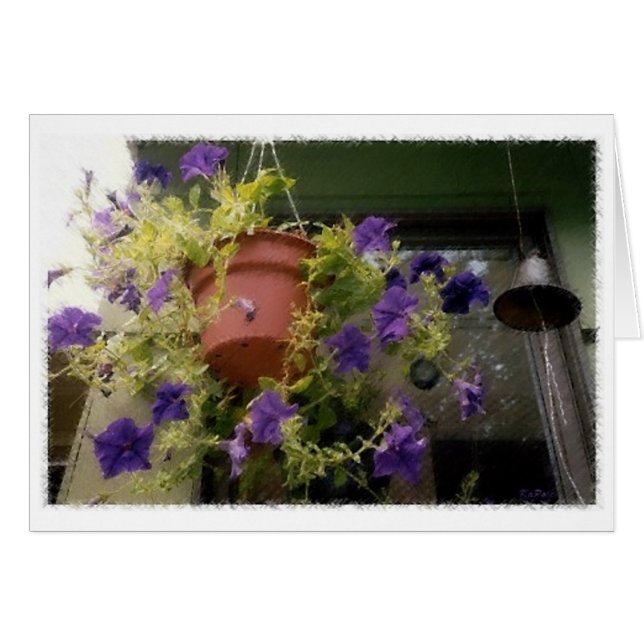 Petunias (Anverso (Horizontal))