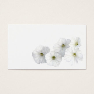 Petunias blancas