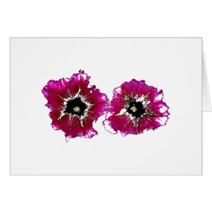 Petunias de Verano