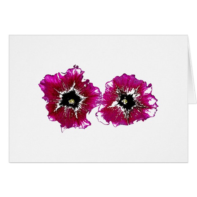 Petunias de Verano (Anverso (Horizontal))