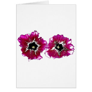 Petunias de Verano