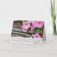 Petunias rosadas con tarjeta verso de la biblia