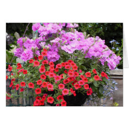 Petunias rosadas y millones de campanas rojas