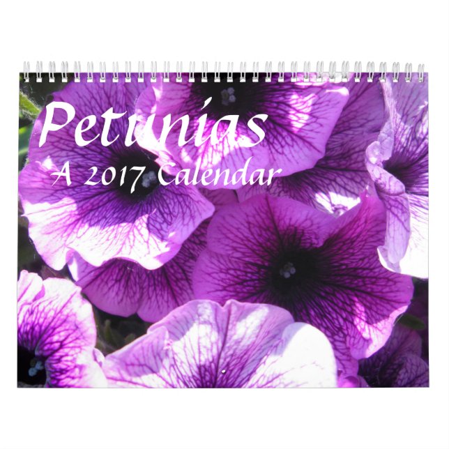 Petunias - un calendario 20XX (Tapa)
