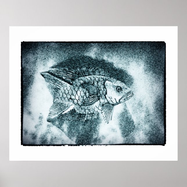 Pez - arte de tinta digital y fotográfica (Póster) (Frente)