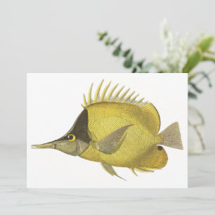 Pez Chelmon Longirostris Tropical Amarillo, Pez Vi