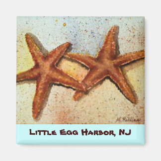 pez estrella, pequeño puerto de huevo, imán de NJ