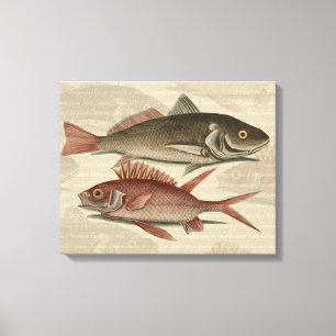 Pez Lubina Roja Pescador Arte