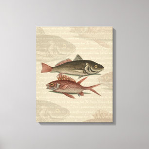 Pez Lubina Roja Pescador Arte