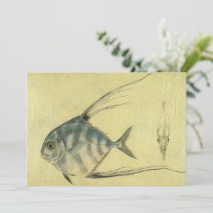 Pez Pompano Africano, Trevally de hilo vintage