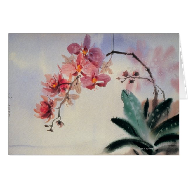 Phalaenopsis (Anverso (Horizontal))