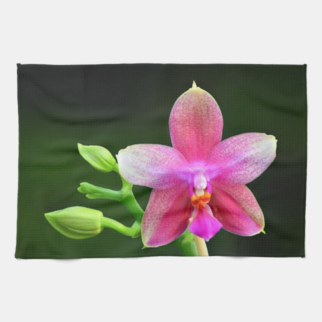 Phalaenopsis liodoro toalla de cocina 40,6cm x (Horizontal)