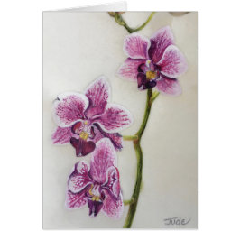 Phalaenopsis "orquídea de polilla" 5" x 7", con el