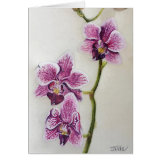 Phalaenopsis "orquídea de polilla" 5" x 7", con el