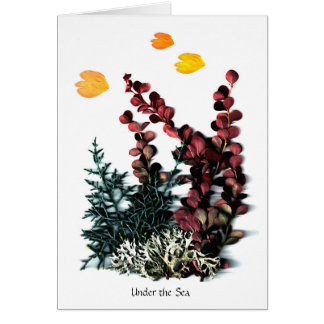 Phantasies de Phaedra - debajo del mar