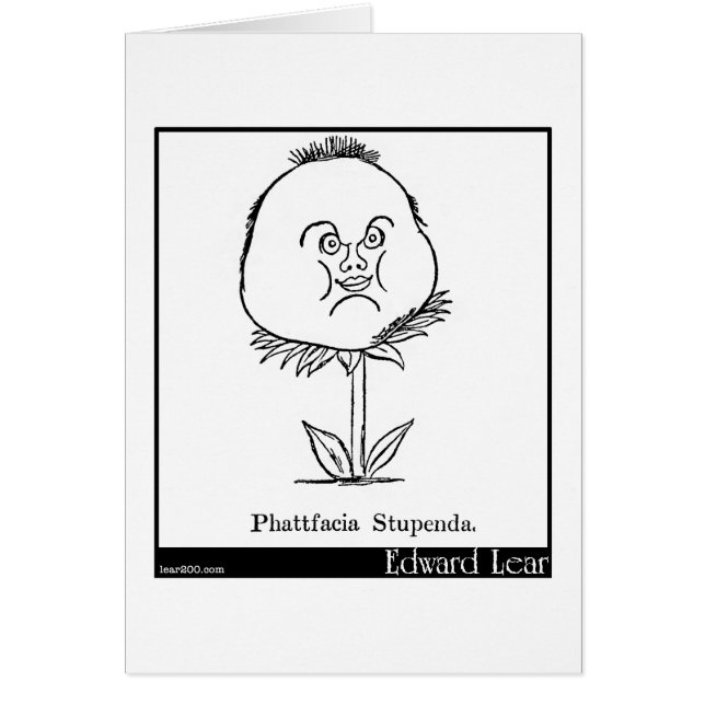 Phattfacia Stupenda. (Frente)