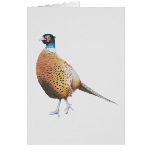 Pheasant 2012 (Frente)