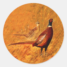 Pheasant Bird Nature Wildlife Pegatinas