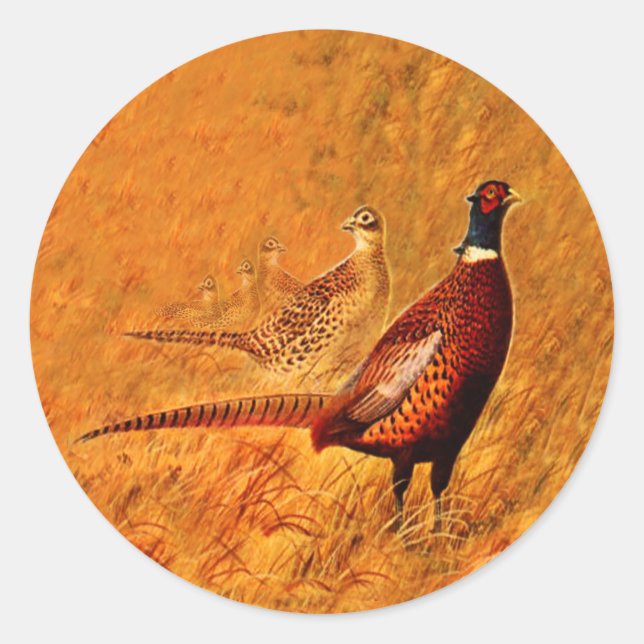 Pheasant Bird Nature Wildlife Pegatinas (Anverso)