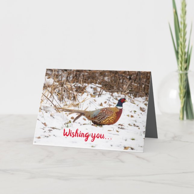 Pheasant De La Tarjeta De Festividad Maravilla (Anverso)