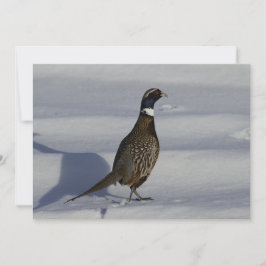 Pheasant In The Snow - Tarjeta De Saludo Plana