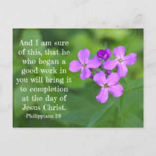 Philippians 1:6 Postales de flores silvestres