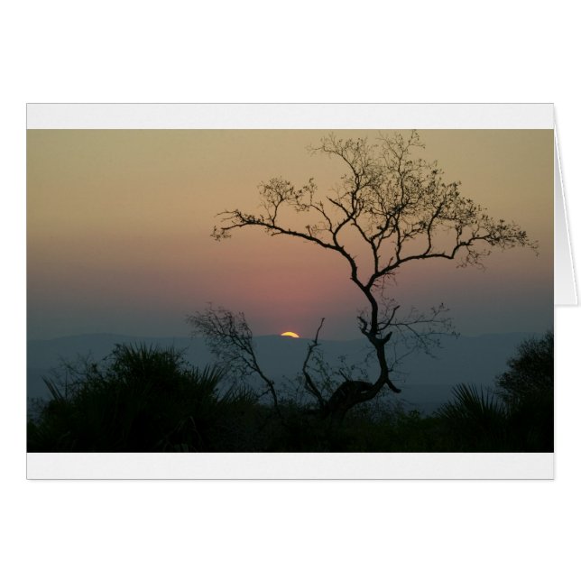 Phinda Sunset (Anverso (Horizontal))