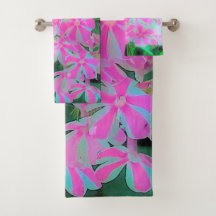 Phlox Jardín de menta blanca y rosa caliente