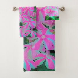 Phlox Jardín de menta blanca y rosa caliente