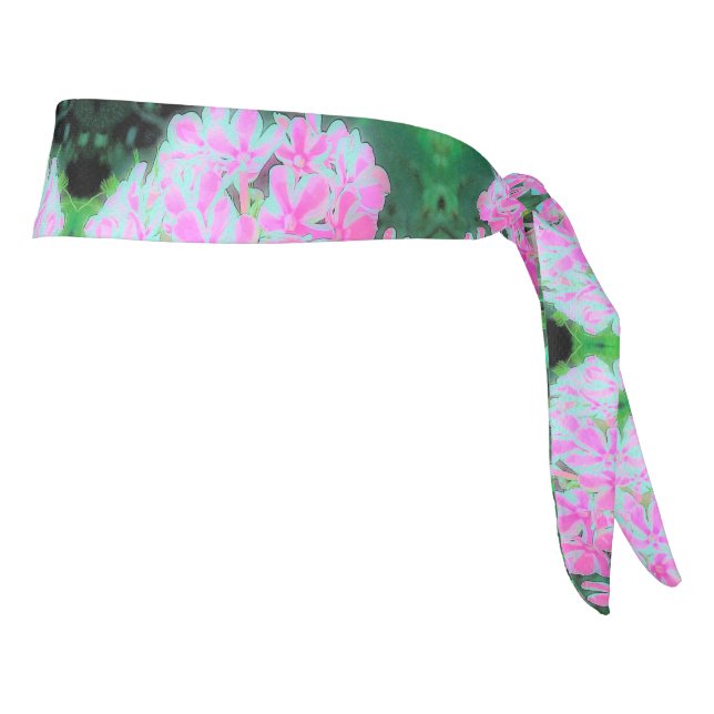 Phlox Jardín de menta blanca y rosa caliente (Girar 90)