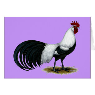 Phoenix:  Gallo de plata de Duckwing