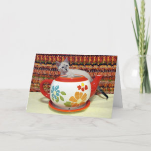 Phoenix - Probando las aguas - Tarjeta de saludo