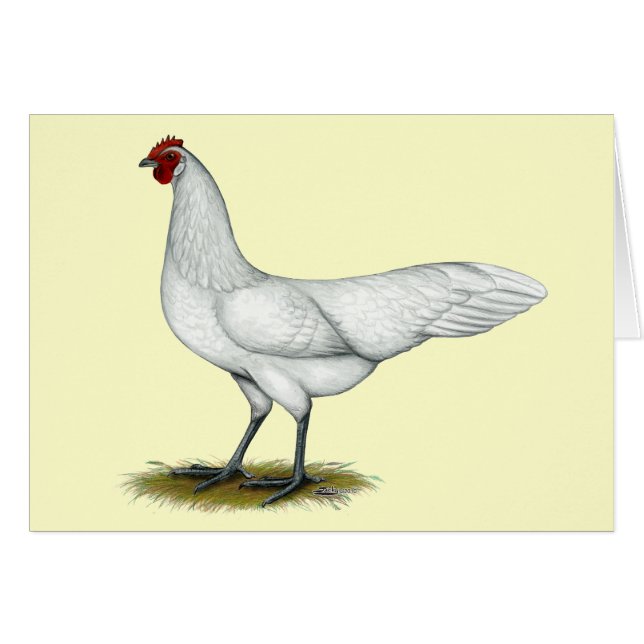 Phoenix: White Hen (Anverso (Horizontal))