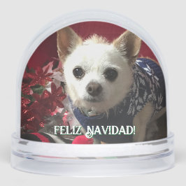 Photo pet child family baby vacation Snow Globe