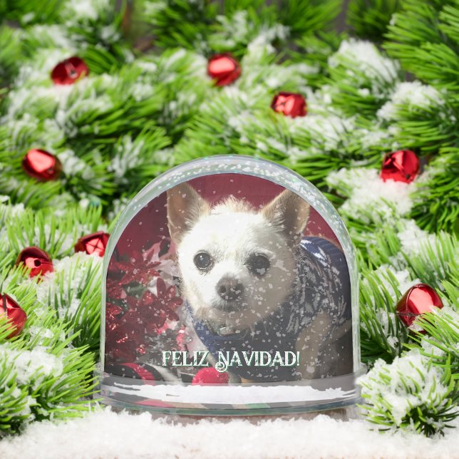 Photo pet child family baby vacation Snow Globe (Navidad)