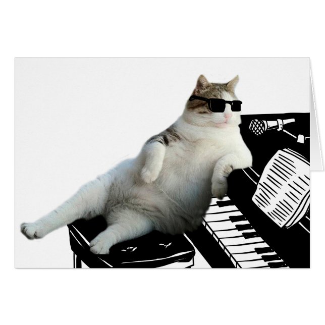 Pianista de gatos ciegos (Anverso (Horizontal))