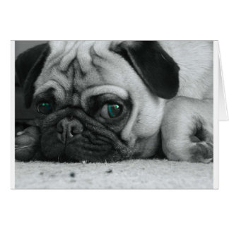 pic de breena