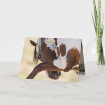 Picasso golpea salvaje tarjeta de felicitación par