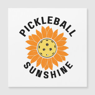 Pickleball sol