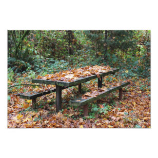 Picnic Bench 19" x 13" Foto Ampliación