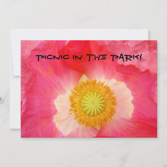 Pícnic en el Parque! Tarjetas de Invitación BBQ Ce (Anverso)