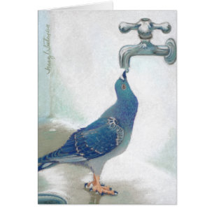 Pidgeon de Frank