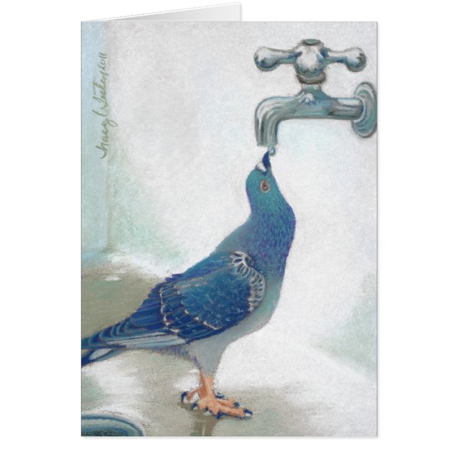 Pidgeon de Frank (Frente)