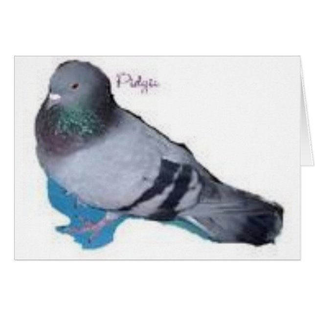 Pidgie The Pidgie Fund Pigeon (Anverso (Horizontal))