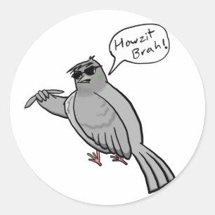Pidgin Pigeon Pegatina