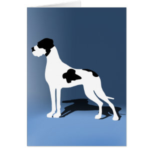 Piebald Great Dane