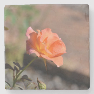 Piedra Colección de Posavasos Rose Garden 4 de 4