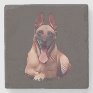 Piedra Hermoso Posavasos de Mármol de Malinois Belga Pint