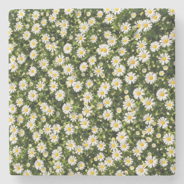 Piedra Juego de Posavasos Whimsical Daisy Meadow (Anverso)